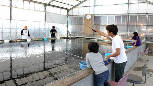 おかべ農園 埼玉県深谷市 釣り堀 バーベキュー 金魚 野菜収穫体験